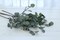 3pcs Eucalyptus Leaves Stems Artificial Greenery Faux Eucalyptus Plant